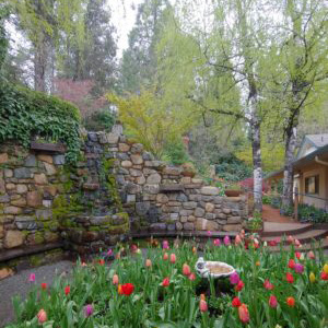 Tulips-circle-garden-Crystal-Hermitage-Springtime-04-2019-ML-300x400